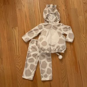 Carter’s giraffe costume size 24 months.
